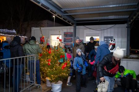 praznične luči _ 2024 (46)